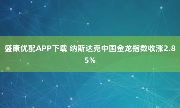 盛康优配APP下载 纳斯达克中国金龙指数收涨2.85%