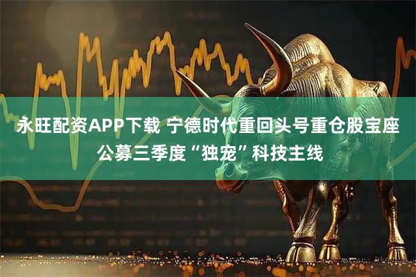 永旺配资APP下载 宁德时代重回头号重仓股宝座 公募三季度“独宠”科技主线