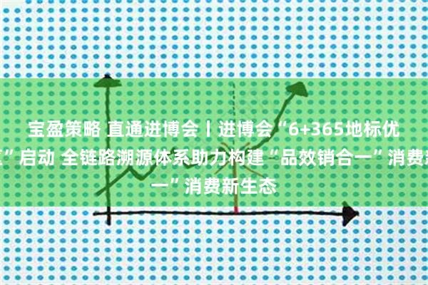 宝盈策略 直通进博会丨进博会“6+365地标优品专区”启动 全链路溯源体系助力构建“品效销合一”消费新生态